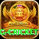 1st inning betting cricket VIP Pro v4.9.3