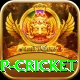 2022 world cup cricket VIP Pro v4.2.7