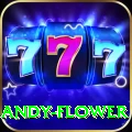 andy flower VIP Pro v5.7.7