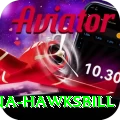 antigua hawksbill Deluxe Pro v2.9.5