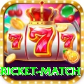 bangladesh cricket match VIP Edition v4.2.1