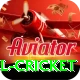bbl cricket VIP Pro v3.2.1