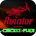 bbl cricket Casino Official v4.7.4