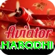 bodh gaya mahabodhi Master Pro v1.3.7