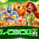 bpl live cricket Games (Casino & Earning) VIP v4.3.9