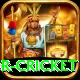 century predictor cricket VIP v4.7.3