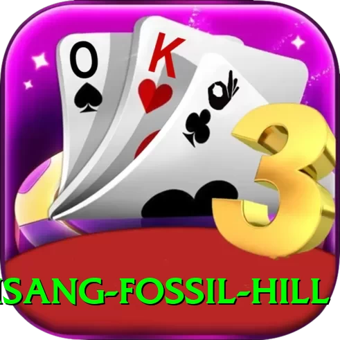 chhusang fossil hill Plus Edition v4.7.9 - 2
