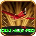 cricket aus Mega v5.7.5