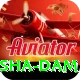 diamer bhasha dam Turbo v1.1.5