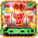 early payout cricket Ultimate Pro v3.5.6