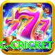 eng cricket Premium Plus v4.3.0