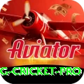 eng cricket Casino Official v4.2.0