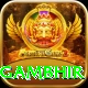 gautam gambhir Premium Plus v2.2.1