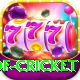 god of cricket Deluxe Pro v2.6.4