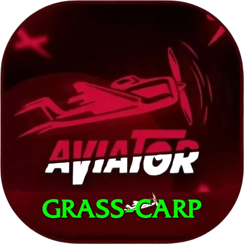 grass carp Gold Edition v4.6.6 - 2