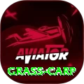 grass carp Gold Edition v4.6.6