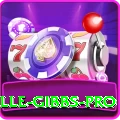 herschelle gibbs Slots Champion v1.8.4