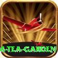 hile ilam tea garden Master Pro v3.5.2