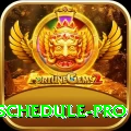 india next cricket match schedule Pro PK v2.5.5