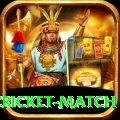 india pakistan cricket match VIP v1.6.4