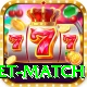 international cricket match VIP Edition v3.3.7