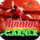 joel garner Deluxe v4.3.0