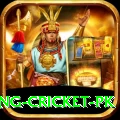 make money betting cricket pk Deluxe Pro v2.5.2