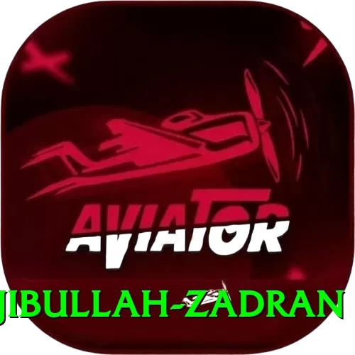najibullah zadran Games (Casino & Earning) Max v5.7.3 - 2