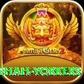 naseem shah yorkers Master v3.9.1