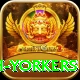 naseem shah yorkers Master v3.9.1