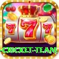 new zealand cricket team Turbo v2.6.4
