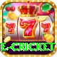online cricket Games (Casino & Earning) Master v2.5.9