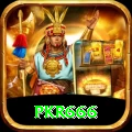 pkr666 Plus v2.1.5