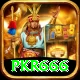pkr666 Plus v2.1.5
