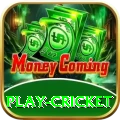 play cricket Apps (Tools & Injectors) VIP v3.2.5