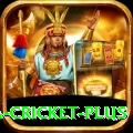 sa cricket Official v4.6.9
