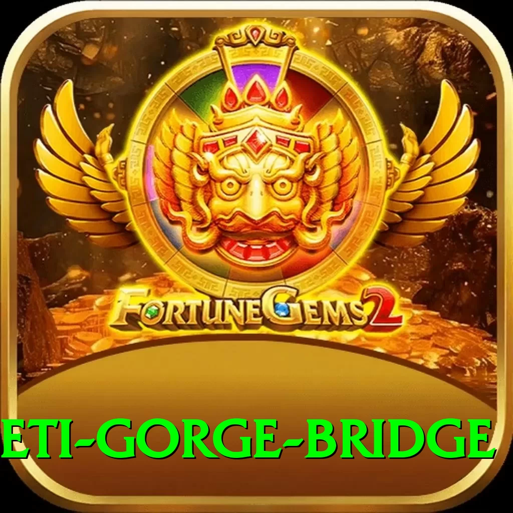 seti gorge bridge Pro Edition v3.1.3 - 2