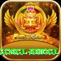 seti gorge bridge Pro Edition v3.1.3