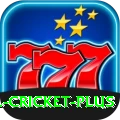 sl cricket - Max v4.8.1