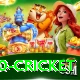 t20 cricket Pro1 v4.5.2
