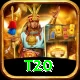 t20 Deluxe v5.4.0