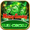test cricket Master Pro v1.9.3