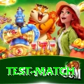 test match Pro Max v5.3.7