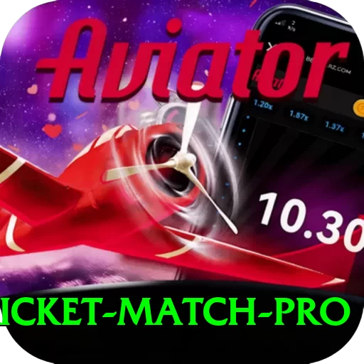 to day cricket match Gaming Turbo - 2