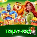 tojay Max Pro v1.1.7