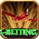 turkey super lig betting Gold v4.9.5