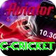 uc cricket Plus