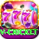 v cricket Plus Pro v1.2.1