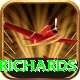 viv richards Premium Edition v1.7.5