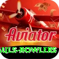 wicket hauls bowlers Deluxe Pro v3.5.0